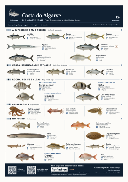 Costa do Algarve fish chart, colour edition
