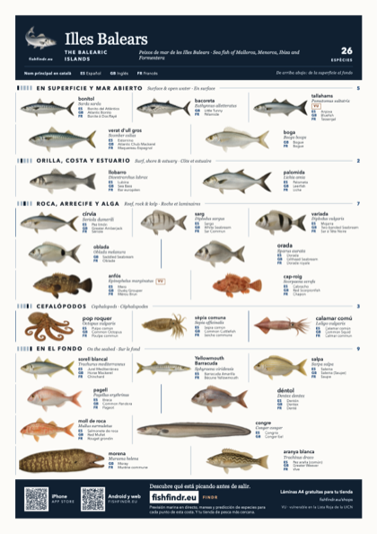 Illes Balears fish chart, colour edition