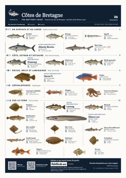 Côtes de Bretagne fish chart, colour edition