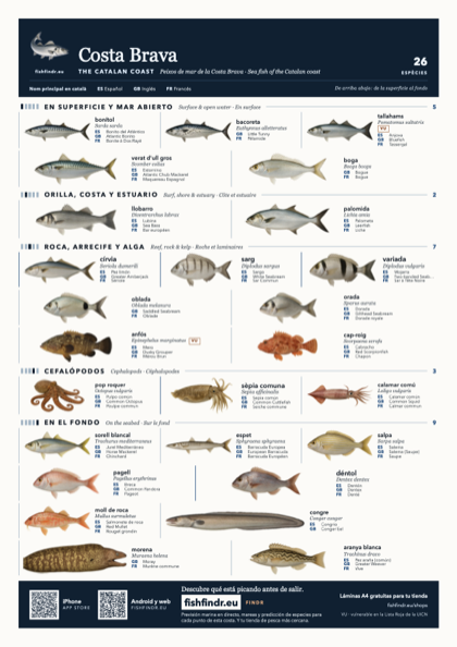Costa Brava fish chart, colour edition