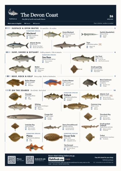 The Devon Coast fish chart, colour edition