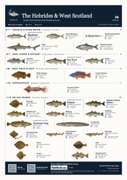 The Hebrides & West Scotland fish chart, colour edition