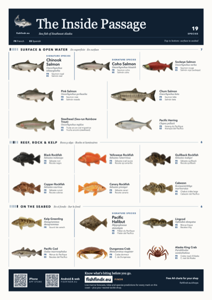 The Inside Passage sea fish identification chart for United States — 19 species named in English and arranged by water column from surface at the top to seabed at the bottom, colour edition thumbnail