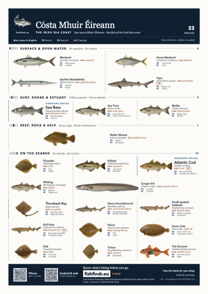 Cósta Mhuir Éireann fish chart, colour edition