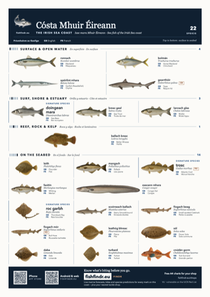 Cósta Mhuir Éireann fish chart, colour edition