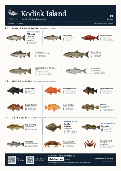 Kodiak Island sea fish identification chart for United States — 19 species named in English and arranged by water column from surface at the top to seabed at the bottom, colour edition thumbnail