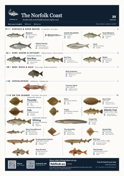 The Norfolk Coast fish chart, colour edition