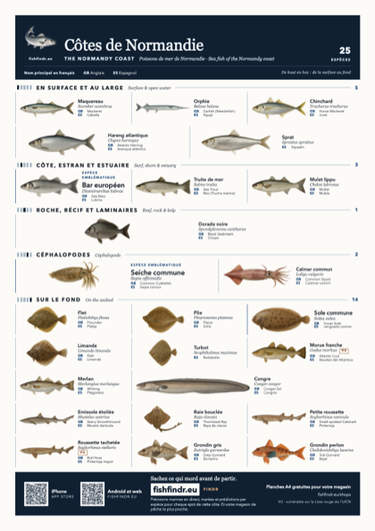 Côtes de Normandie fish chart, colour edition