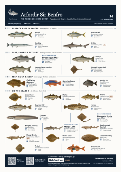 Arfordir Sir Benfro fish chart, colour edition