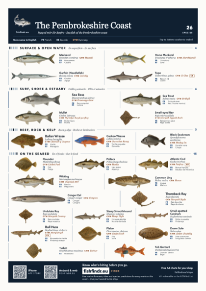 The Pembrokeshire Coast fish chart, colour edition