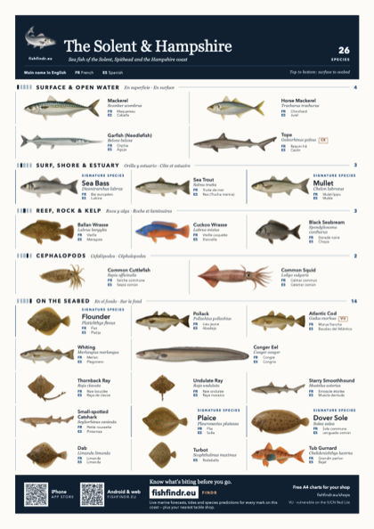 The Solent & Hampshire fish chart, colour edition