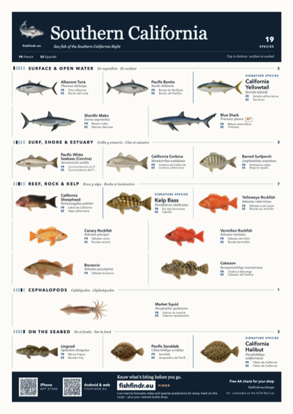 Southern California sea fish identification chart for United States — 19 species named in English and arranged by water column from surface at the top to seabed at the bottom, colour edition thumbnail