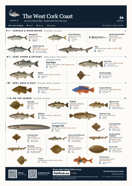 The West Cork Coast fish chart, colour edition