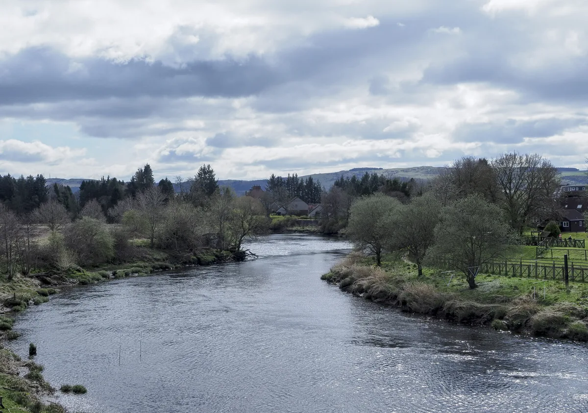 The River Earn flowing beneath trees near the village of Bridge of Earn in Perthshire, Scotland