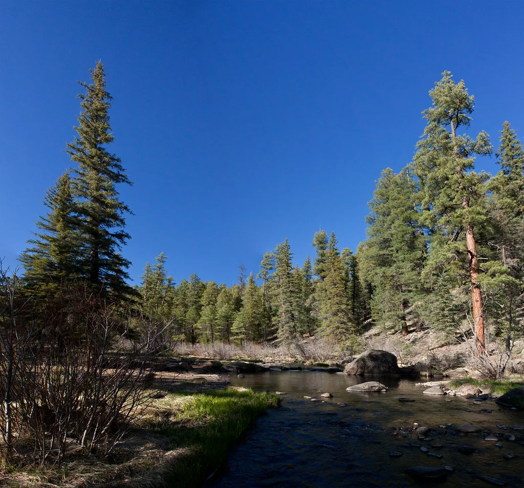 Clear mountain stream flowing through boulders and pine forest, East Fork of the Black River, Arizona White Mountains.