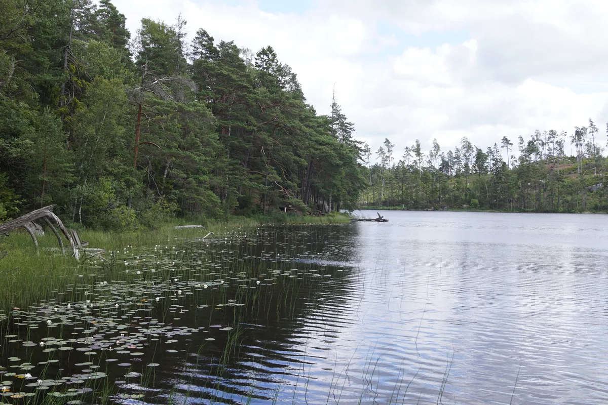Ottersjön — Ottersjön, a lake in Ale Municipality, Sweden