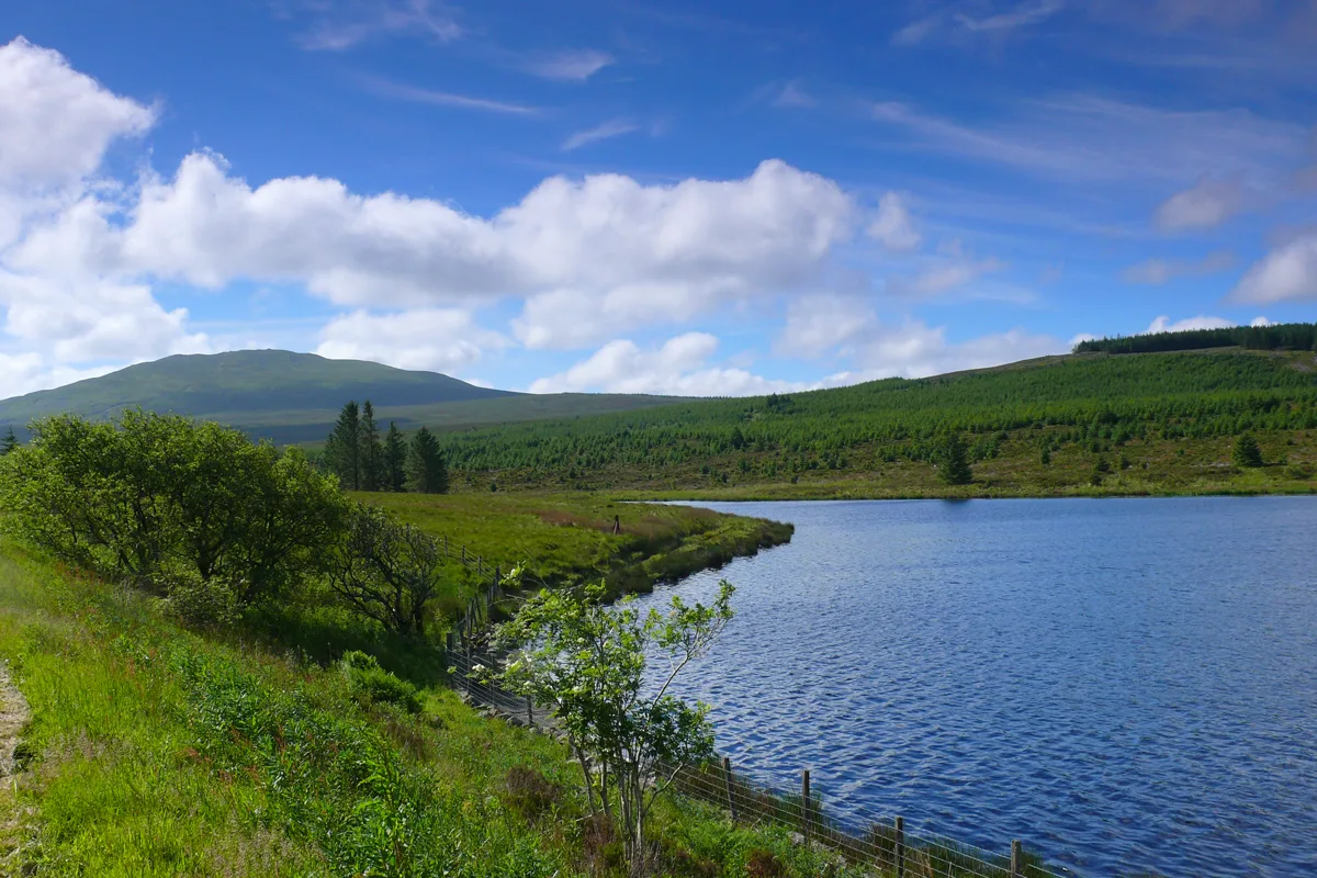 Blue upland lake fringed by a fenced bank of grass and shrubs, with forested hills and a rounded mountain summit in the background under a partly cloudy sky.