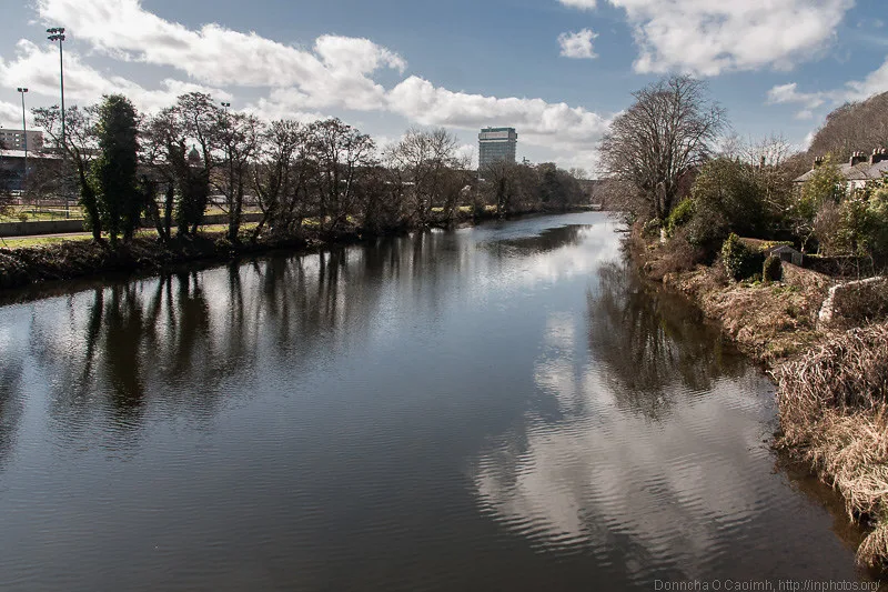 The River Lee lined with mature trees near Daly's Bridge in Cork, Ireland, with calm reflective water.
