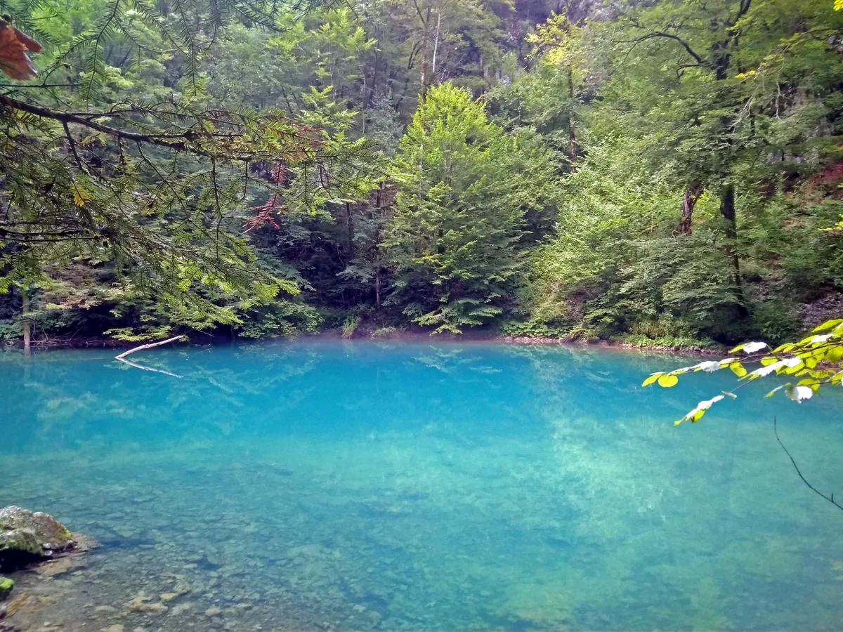 Kupa (Risnjak National Park) — IMG 20180713 163857(fixed)