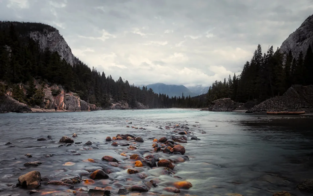 Bow River — Calgary (Bearspaw to Policeman's Flats) — #5664 Bow River Canada