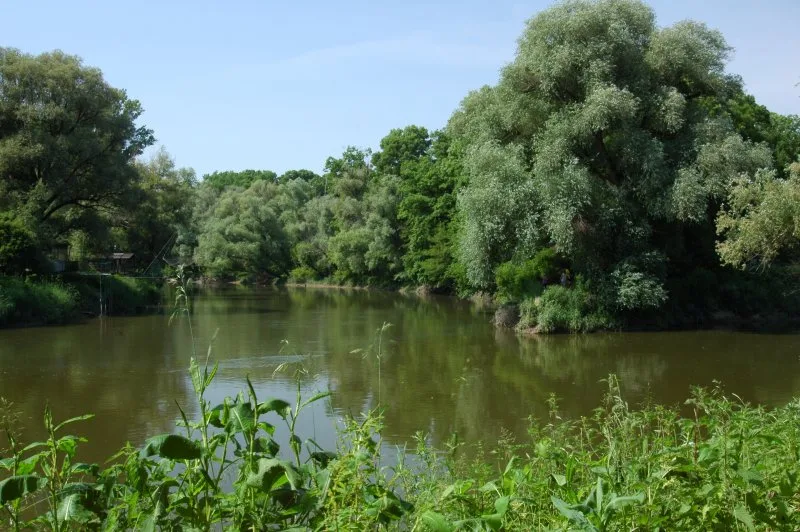 Morava — Dyje-Morava confluence 01