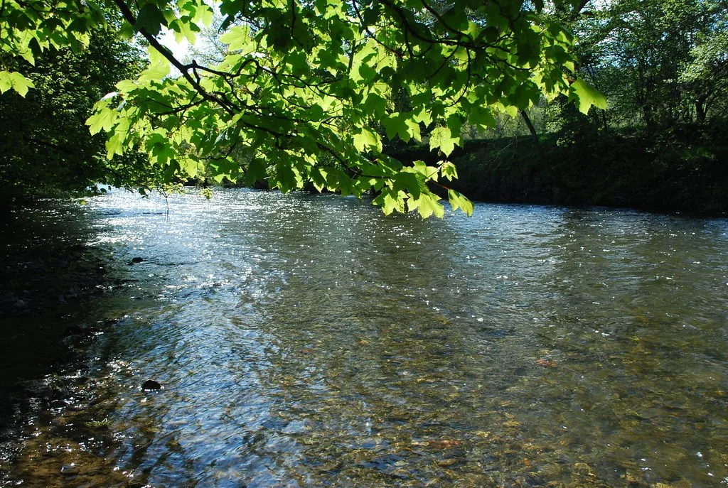 Sunlit clear water of the River Irfon flowing over a shallow gravel riverbed, framed by overhanging tree branches.