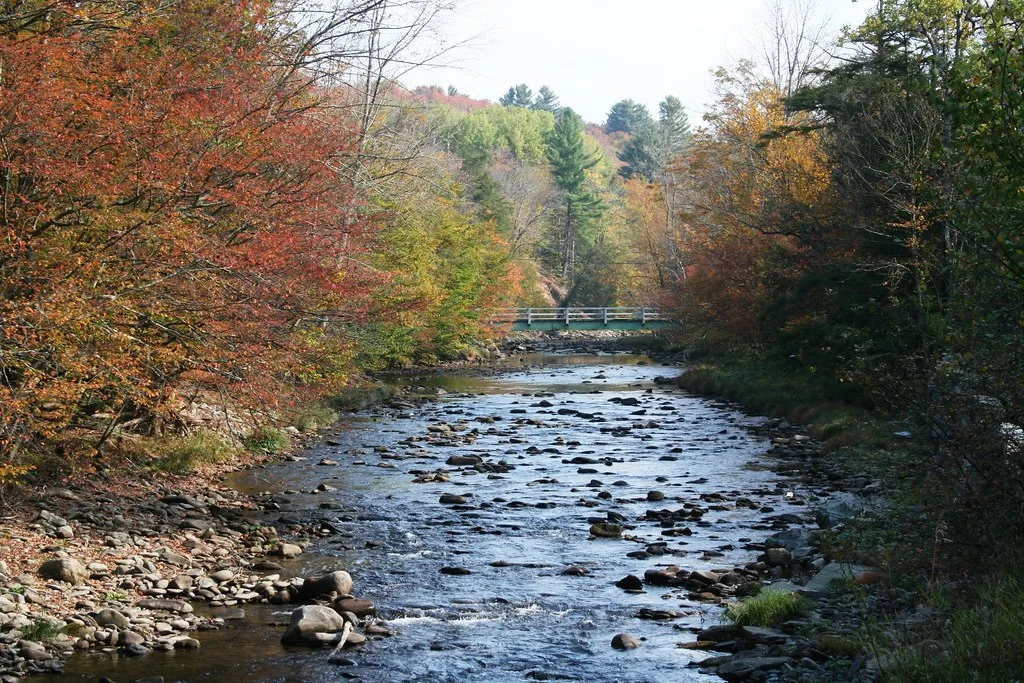 The Beaverkill stream running over cobblestones in fall foliage, with a wooden footbridge in the background, Catskills, New York.