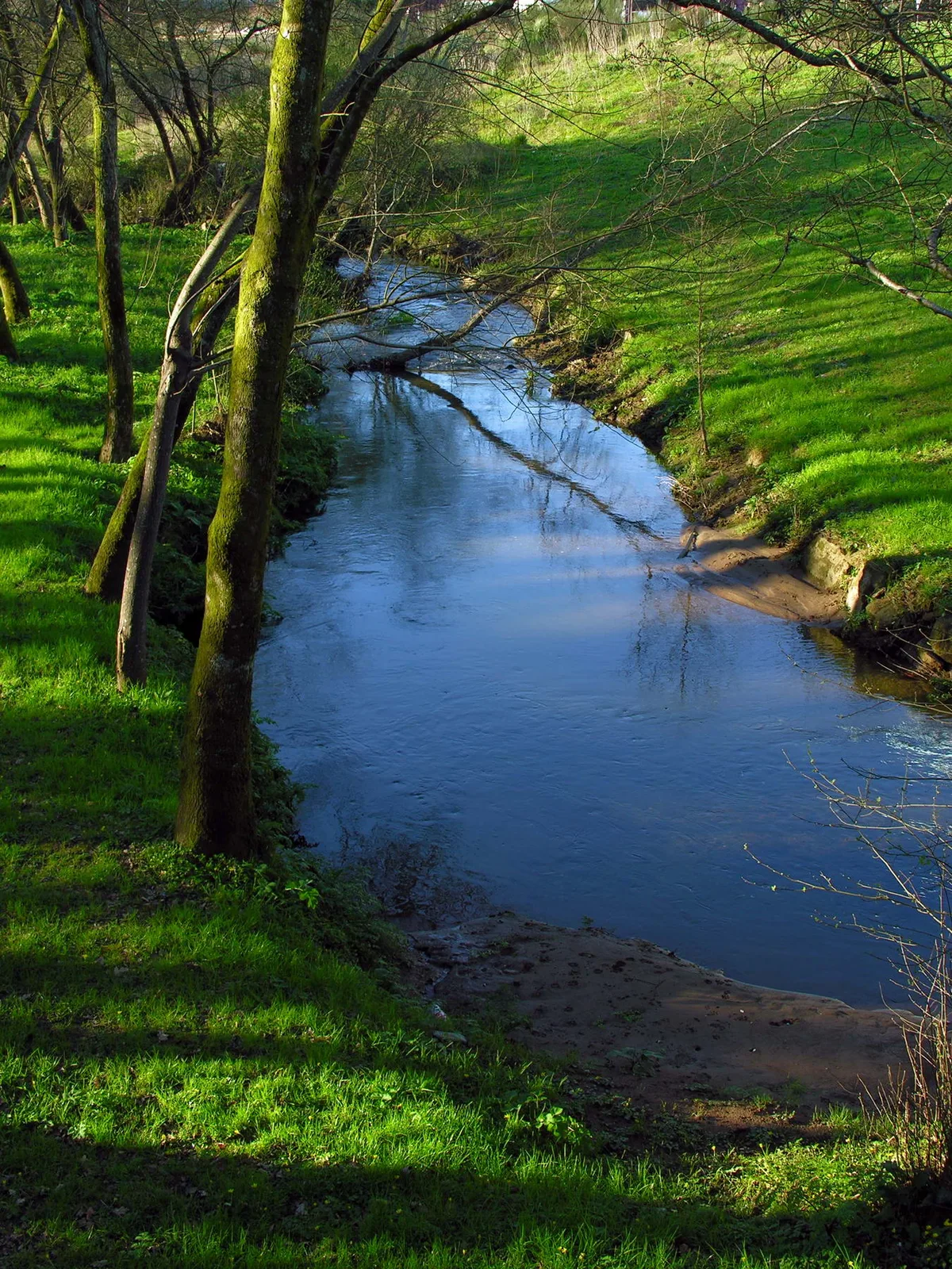 Río Sar — Rio Sar Pontepedrina Santiago Galicia 070310 2