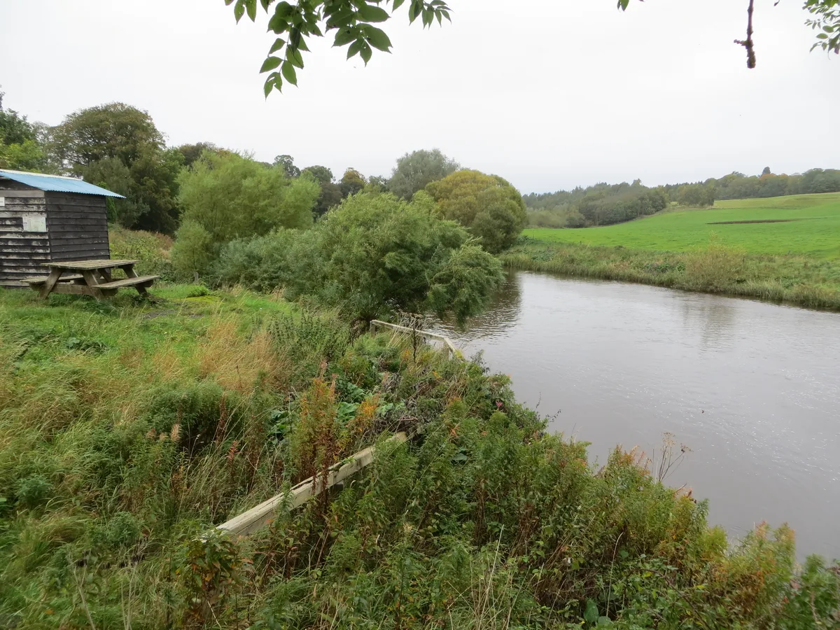 A rural stretch of the River Teviot near Old Ormiston in the Scottish Borders, flanked by trees and open farmland.