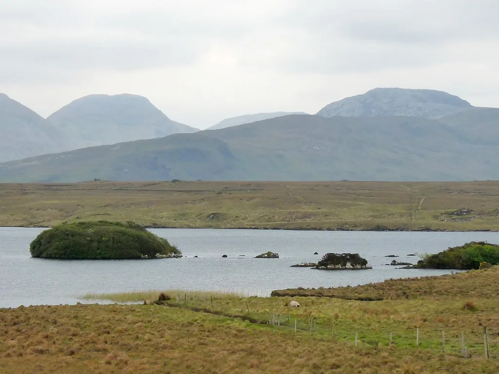 Lough Fee — Lough Fee 01