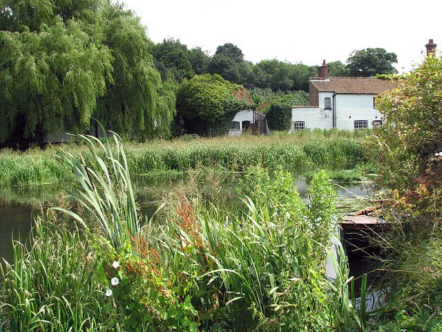 The River Wensum, a Norfolk chalk stream, flowing past Bintree Mill near Guist, Norfolk