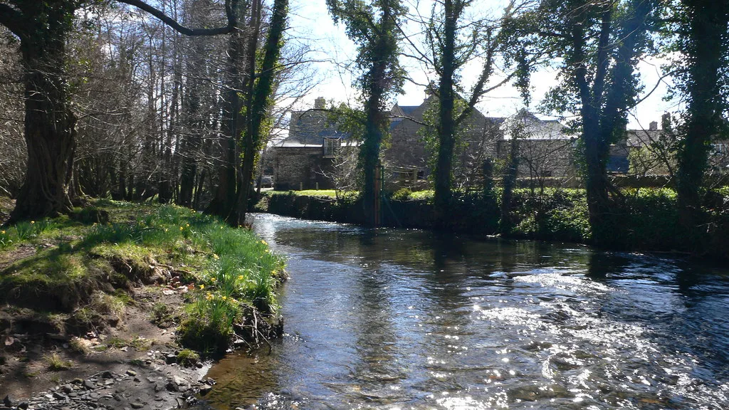 A small, clear West Country river flanked by trees and daffodils, with a stone farmhouse visible beyond the bank.