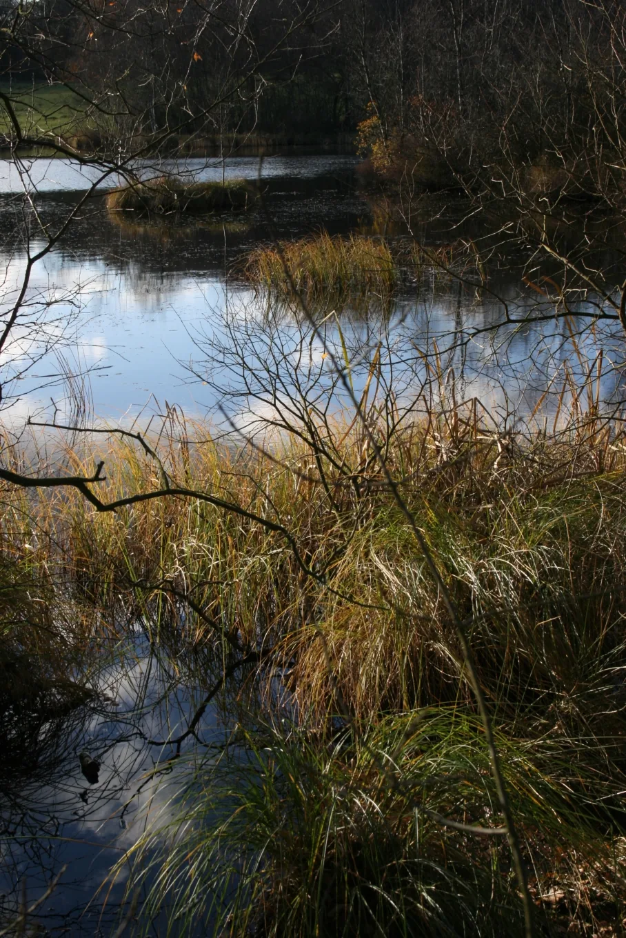 Photo of Skjern Å
