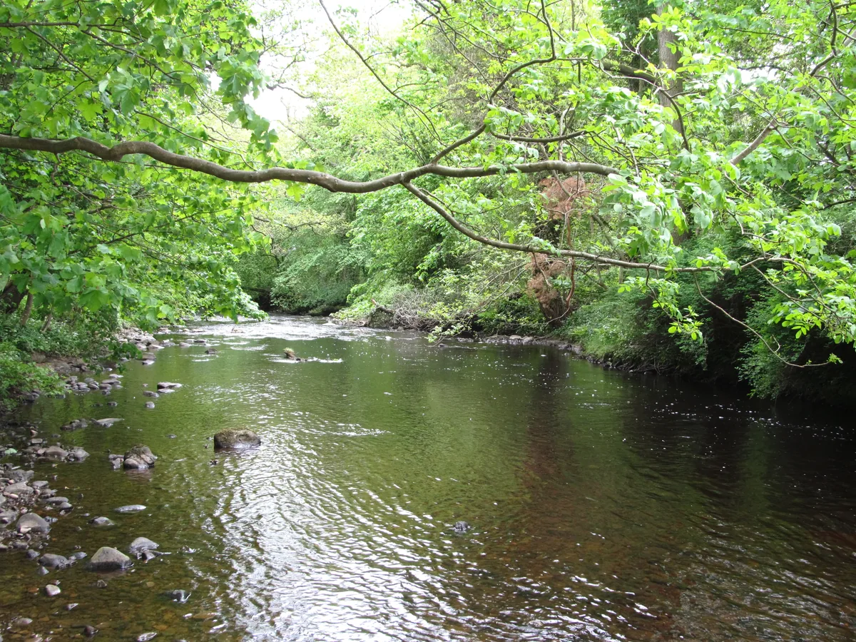 The River Burn flowing near Masham in North Yorkshire