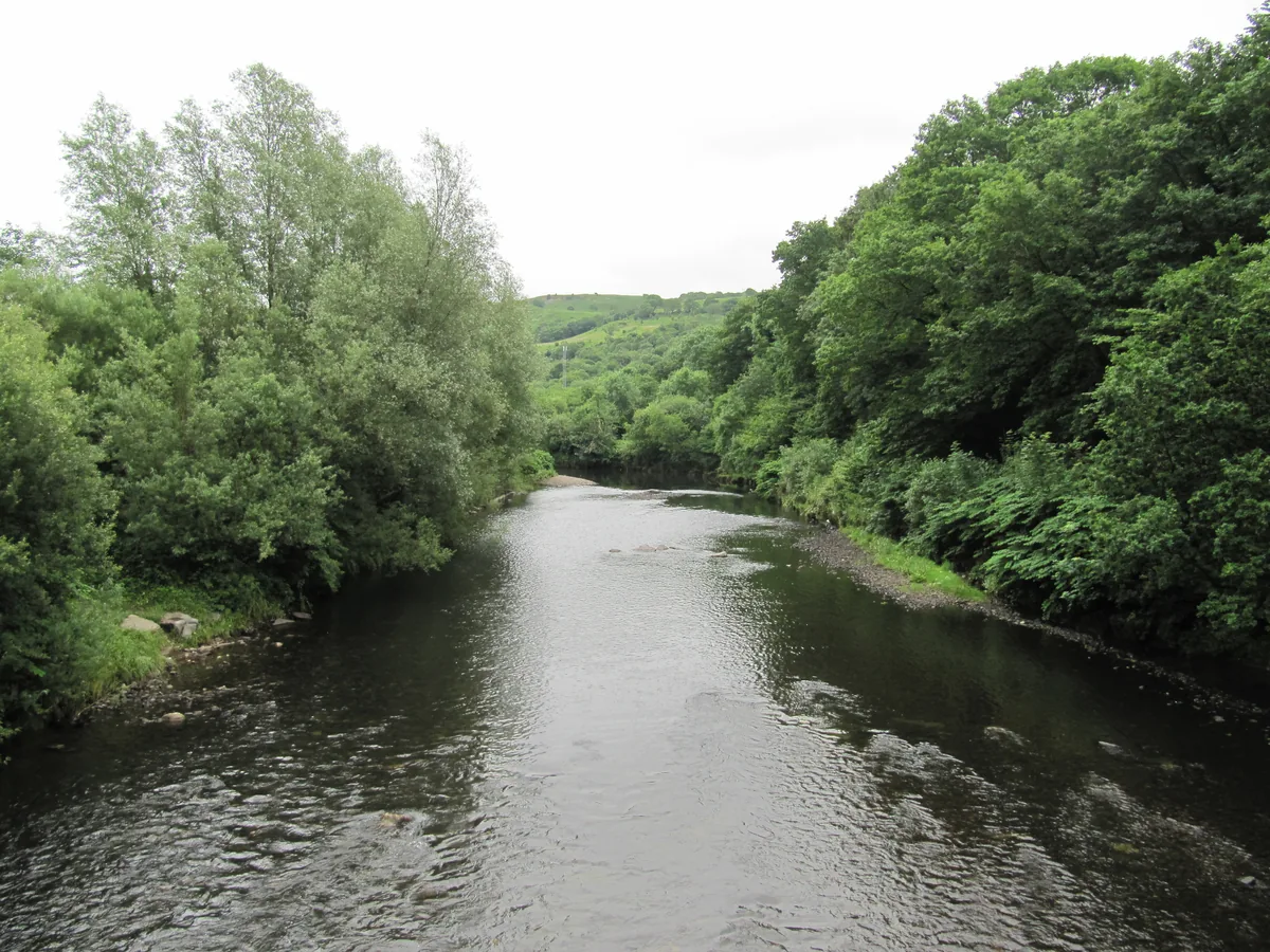 The River Neath flowing through a wooded valley near the Ynysbwllog Aqueduct, South Wales.