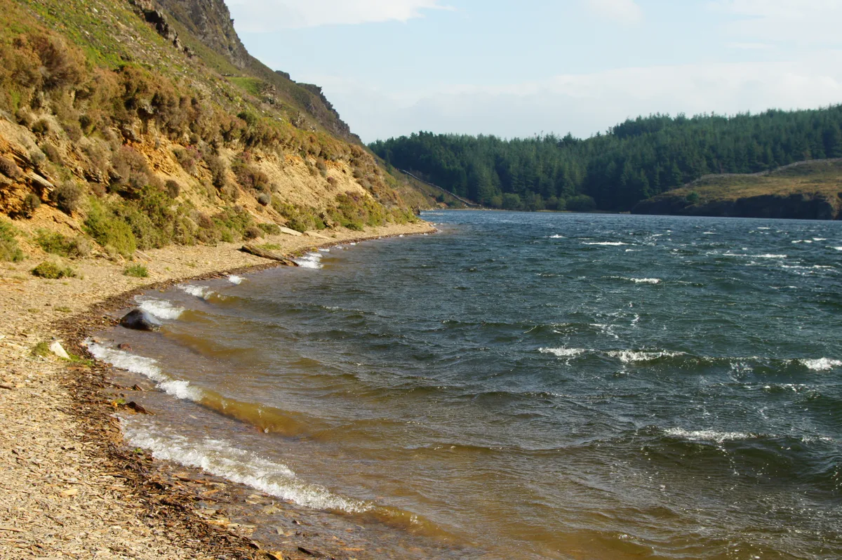 Choppy blue-grey water of Llyn Tecwyn Uchaf lake with a stony shoreline, pine forest and steep hillside in Snowdonia, North Wales.