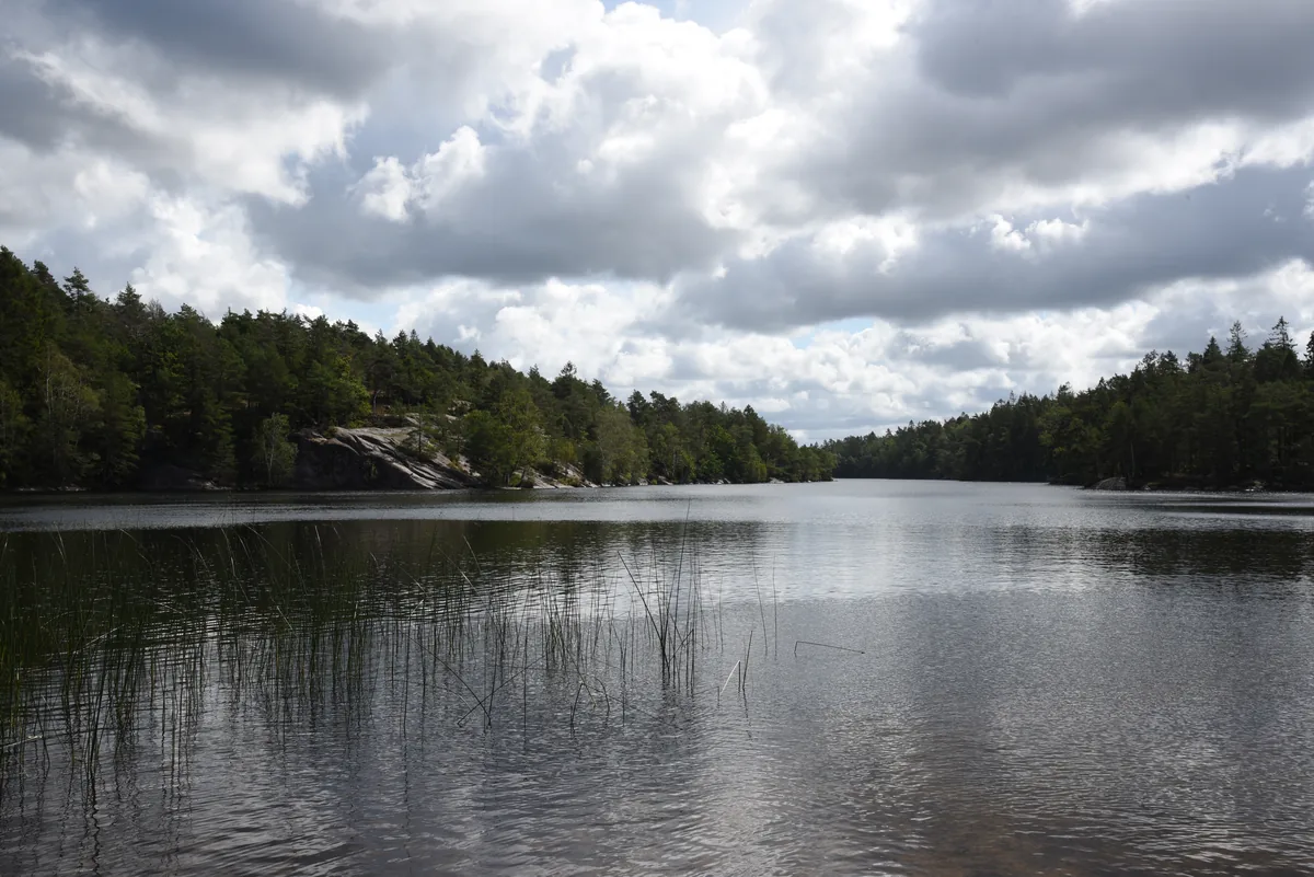 Wide view across the still water of Norra Långevattnet lake near Gothenburg, Sweden, framed by pine forest and rocky shoreline