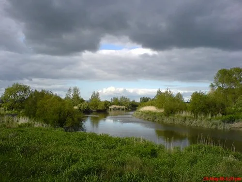River Maigue — River Maigue, Kilcurly, Ireland