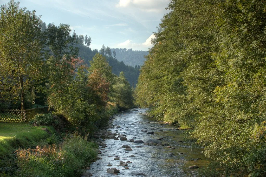 Gutach — River in the Black Forest