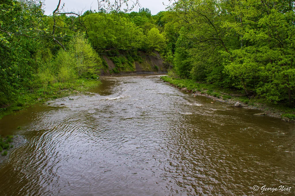 A tree-lined stretch of Elk Creek with riffling current over gravel, Erie County, Pennsylvania.