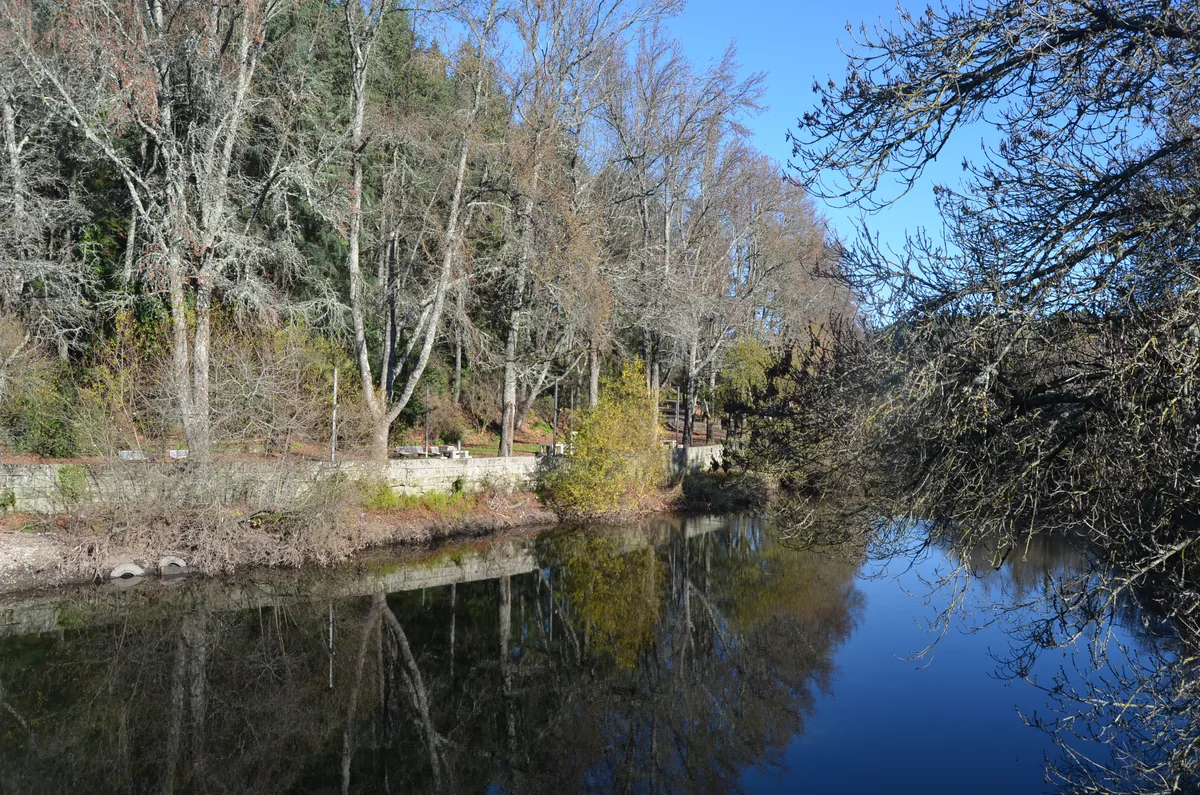 Calm reach of the Corgo River reflecting bare winter trees and blue sky, riverside park path in Vila Real, Portugal
