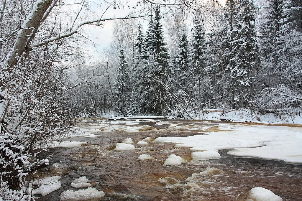 Amata — File:River Amata wint LV (8332012471).jpg