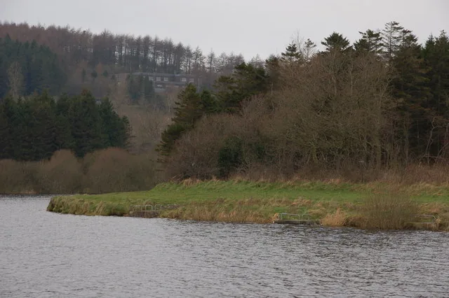 Anglers fishing the bank of Copeland reservoir near Carrickfergus, with forested hills behind