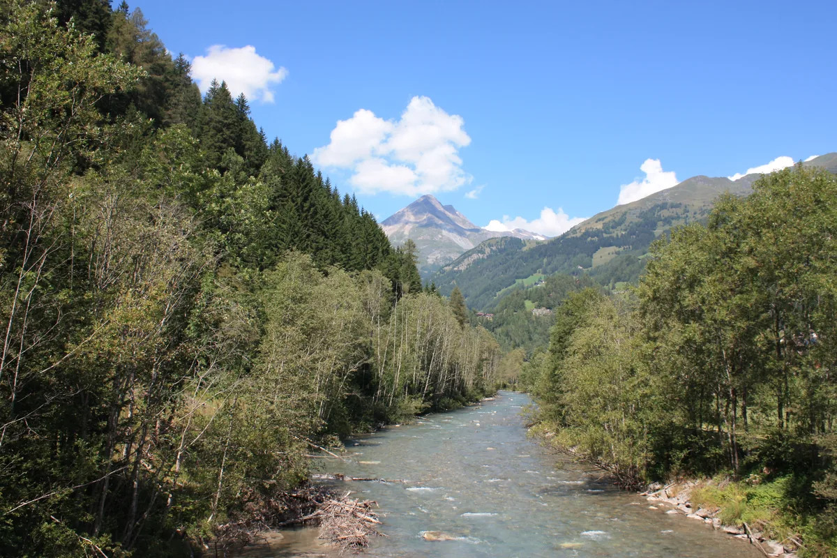 Photo of Möll