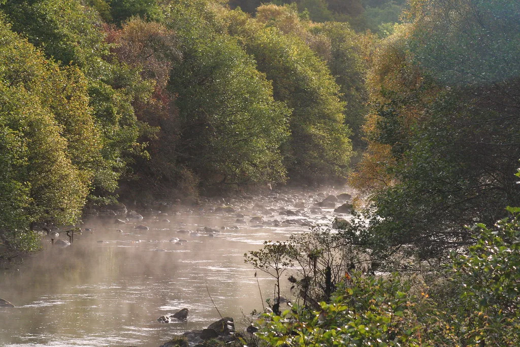 Misty river with a rocky bed flowing through autumn woodland at dawn.