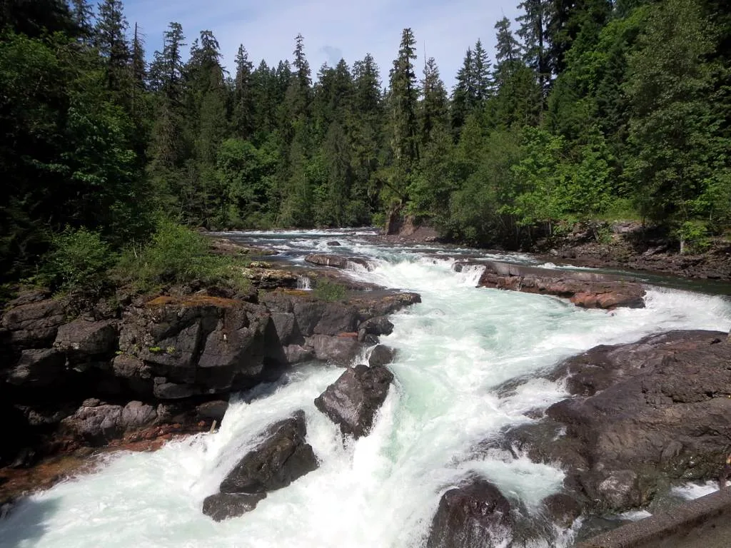 Stamp / Somass River — Stamp River Provincial Park