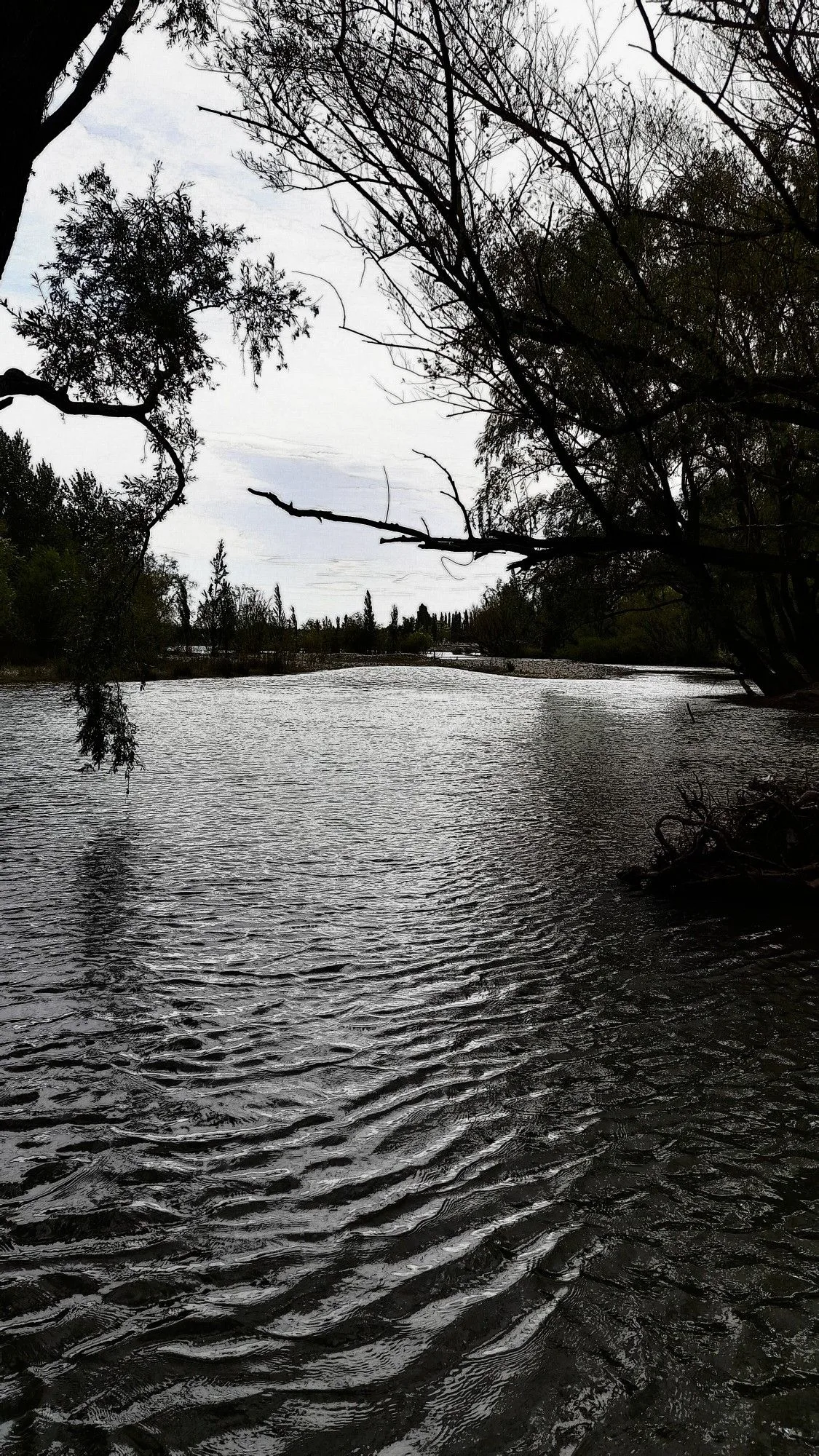 Río Limay — Lower / Arroyito to Neuquén confluence — Río Limay Neuquen