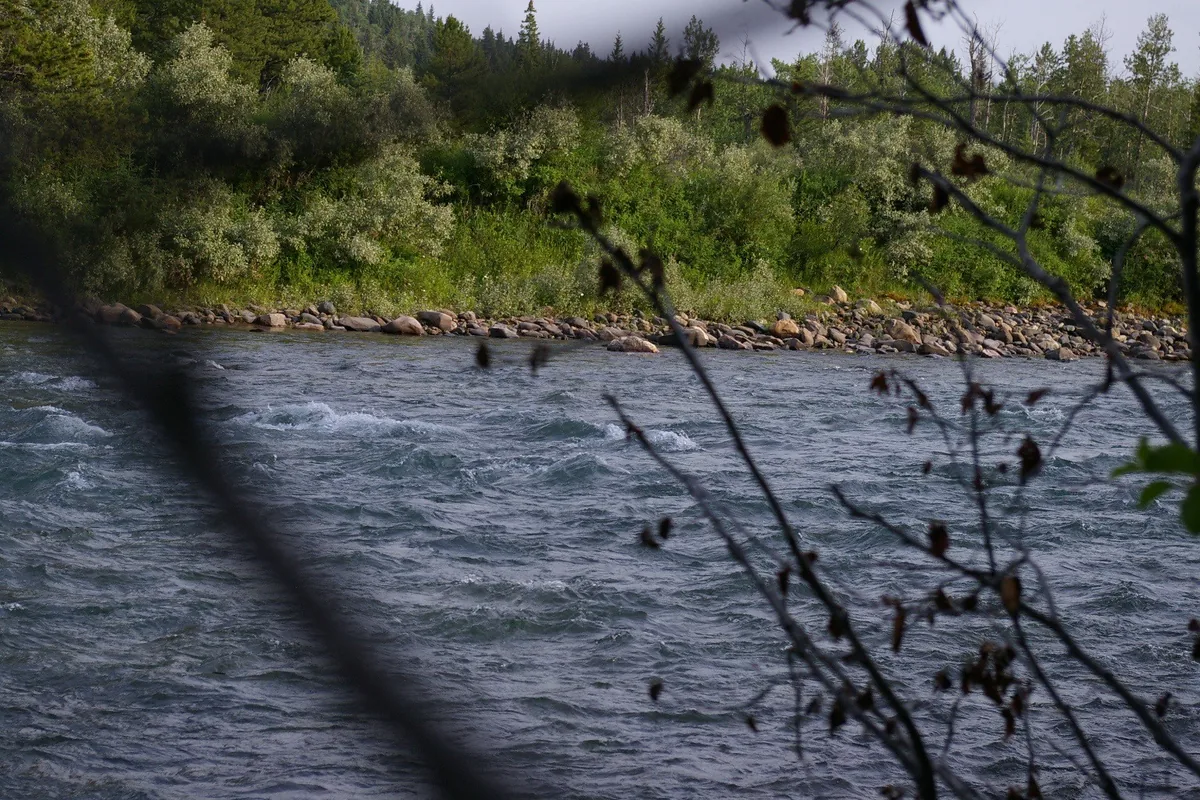 Fast-moving whitewater on the Castle River, rocky far bank and forested hillside in the background, Alberta