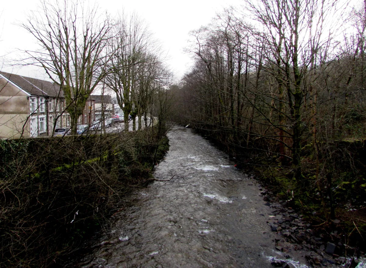 A fast-flowing stretch of the Rhondda River lined with trees and terraced houses in the Rhondda Valley.