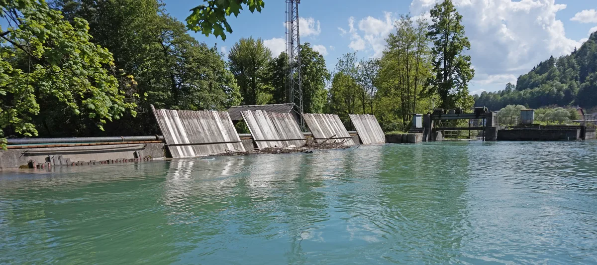Sava (Kranj-Tacen) — Kranj - Sava